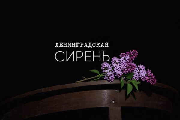 27 минут страха и надежды